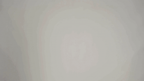 online personal trainer prices