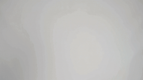 12 week workout plan price